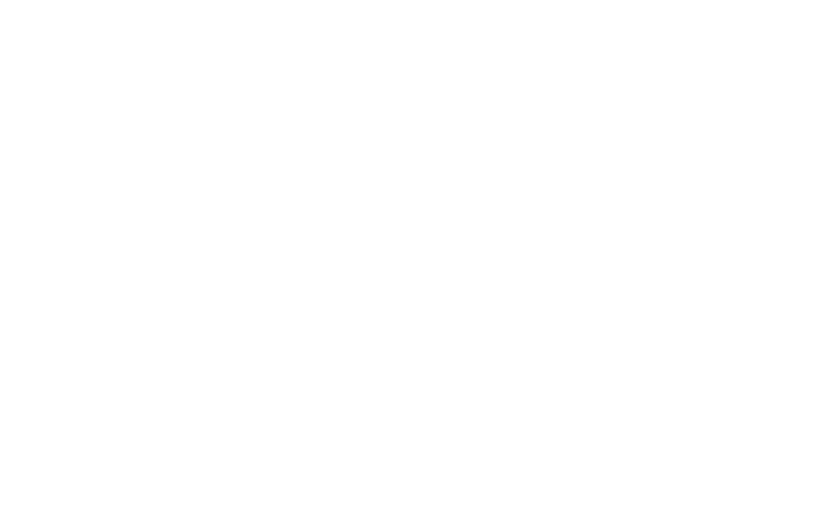 Mr. Price